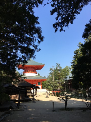 根本大塔とか