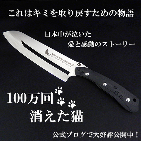 100万回消えた猫