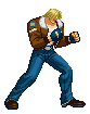 Terrygarou