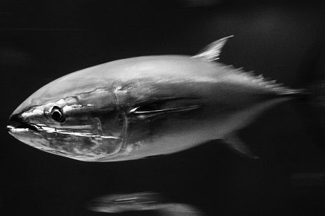 pixta_3441640_S-2