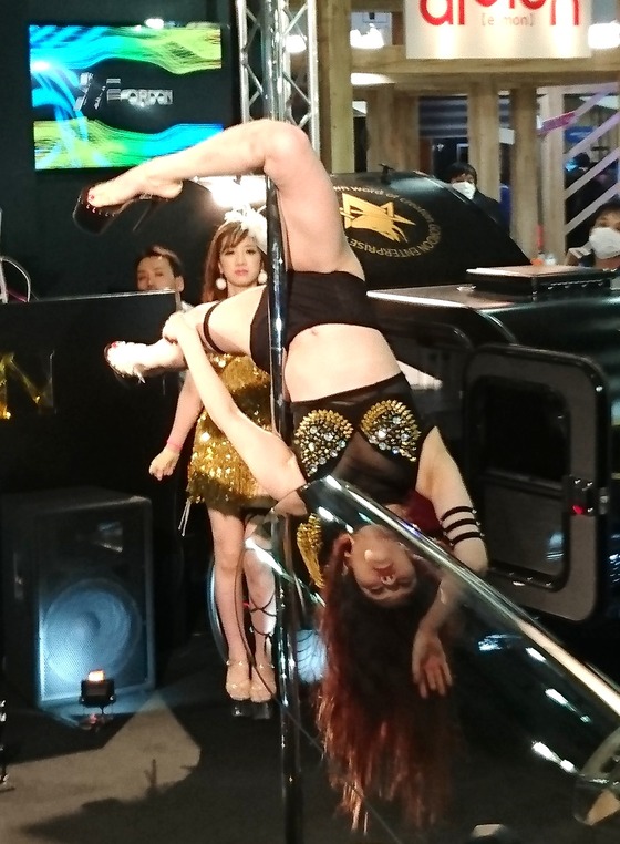 tas2017012016