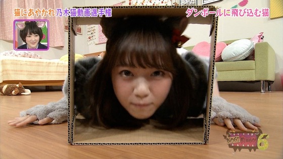 sakamichibest20170128no04-06