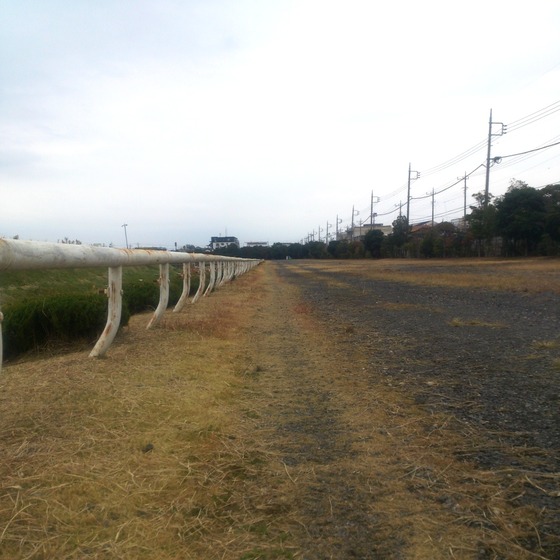 keiba20141130