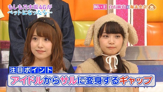 sakamichibest20170128no09-01
