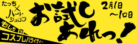 お試しあれ!PC用