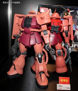 AJP HOBBY SHOW 2010 0404