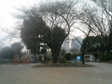 公園