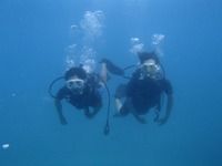 13 guamaqua1