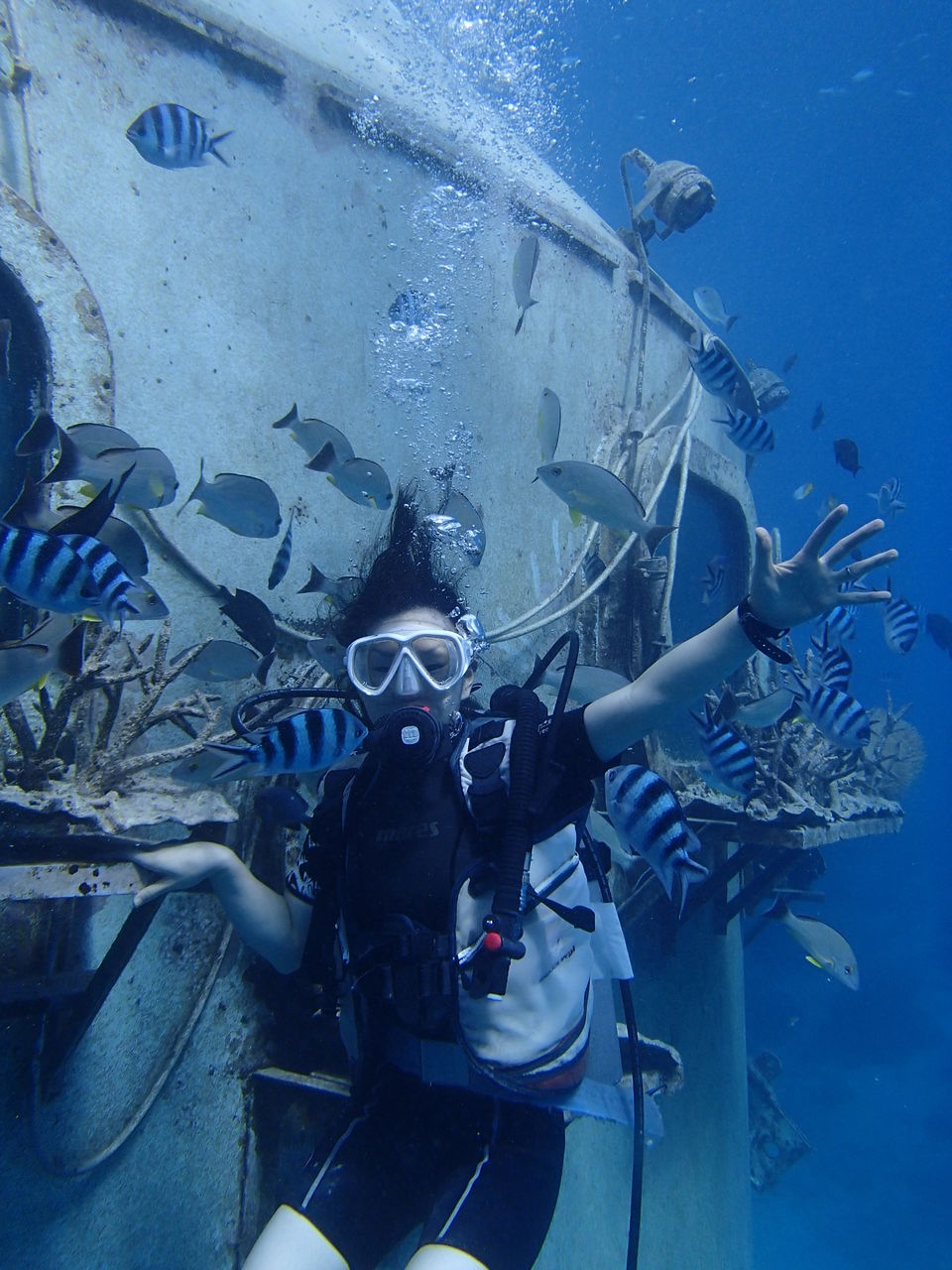 13 guamaqua1
