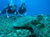 guam9.28cr-2