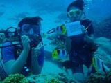 guam2.26i5