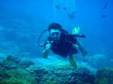 guam12.3intro2-2