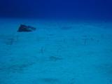 guam11.8ob-4