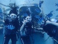 13 guamaqua2