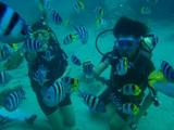 guam5.8i3
