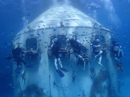 P3080059