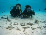 guam12.17ypao2