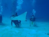 guam3.27hana