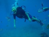 guam2.8i1
