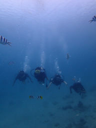 P6260056