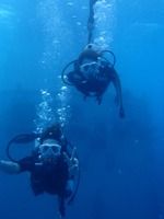 13 guamaqua4