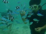 guam7.8s2