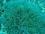 guam3.30b1