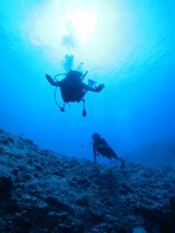 guam6.9b1