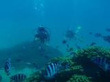 guam9.12i2