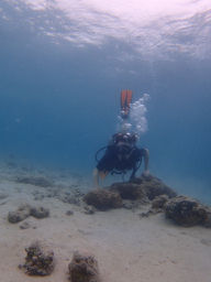 P4240015