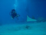 guam4.2ow2
