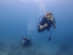P9130075