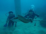 guam6.5h5