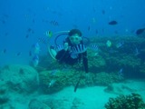 guam7.1i2.jpg