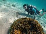 guam4.23b5.jpg