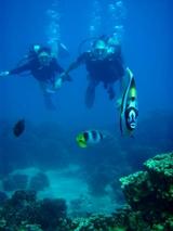 guam9.302tank