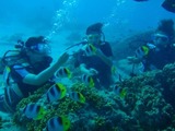 guam2.26i4