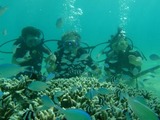 guam7.13i5