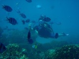 guam10.2i2