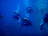guam11.28kochi swim