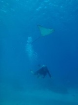 guam3.31i-1-2