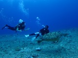 guam7.3b4