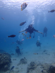 P6050029