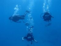 13 guamaqua1