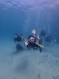 P5050038