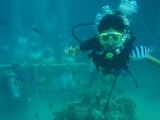 guam8.6i2