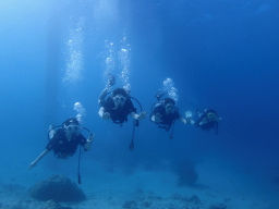 P3120121