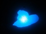 guam6.9b2