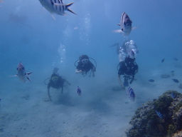 P6280026