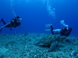 guam7.3b3
